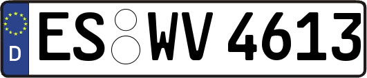 ES-WV4613
