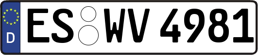 ES-WV4981
