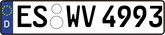 ES-WV4993
