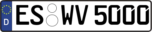 ES-WV5000
