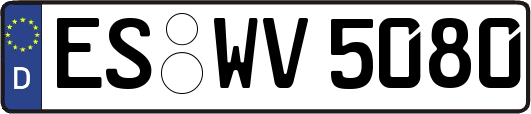 ES-WV5080