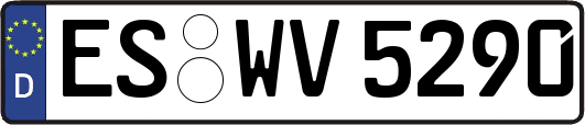ES-WV5290