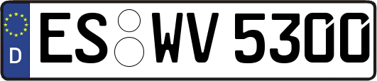 ES-WV5300