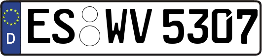 ES-WV5307