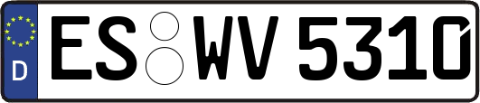 ES-WV5310
