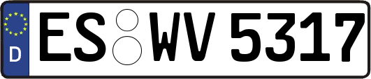 ES-WV5317