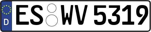 ES-WV5319