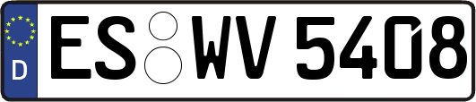 ES-WV5408
