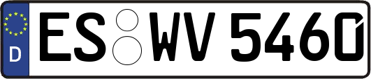 ES-WV5460