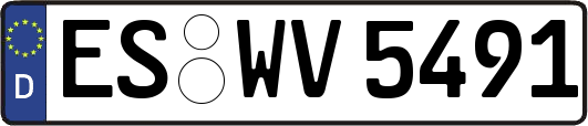 ES-WV5491