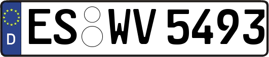 ES-WV5493