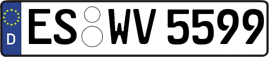 ES-WV5599