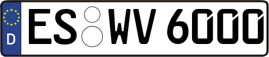 ES-WV6000