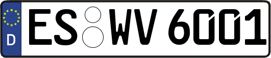 ES-WV6001