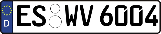 ES-WV6004