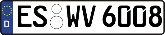 ES-WV6008