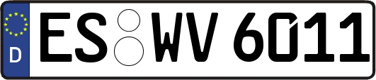 ES-WV6011