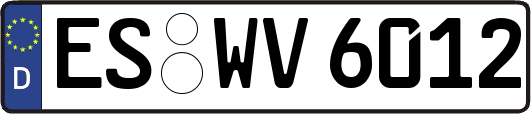 ES-WV6012