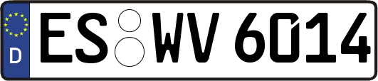 ES-WV6014