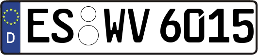 ES-WV6015