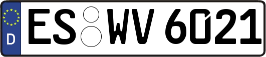 ES-WV6021