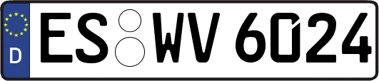 ES-WV6024