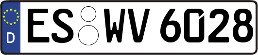 ES-WV6028