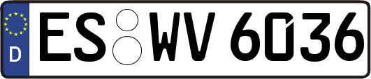 ES-WV6036