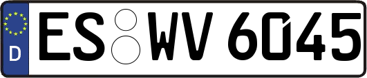 ES-WV6045