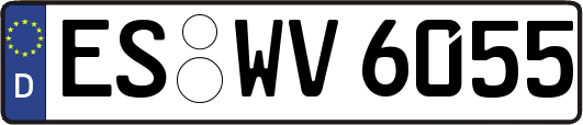 ES-WV6055