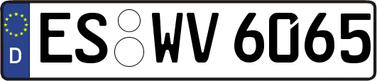 ES-WV6065