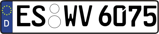 ES-WV6075