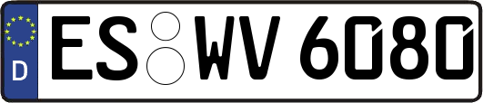 ES-WV6080