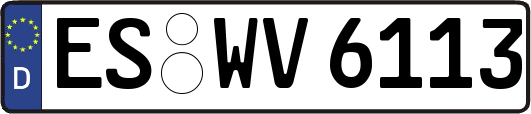 ES-WV6113