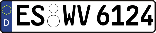 ES-WV6124