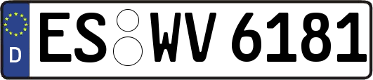 ES-WV6181