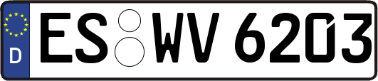 ES-WV6203