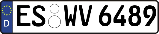 ES-WV6489