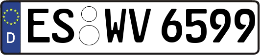 ES-WV6599