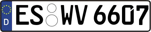 ES-WV6607