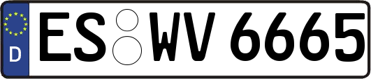 ES-WV6665