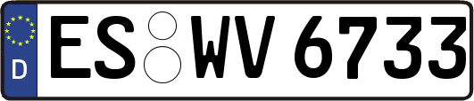 ES-WV6733