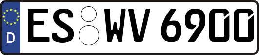 ES-WV6900