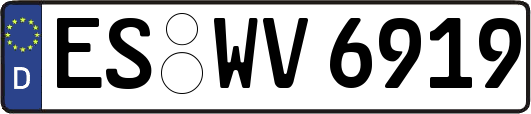 ES-WV6919