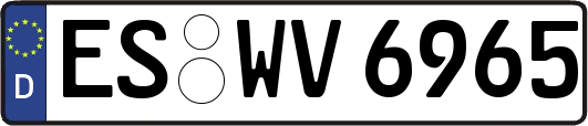 ES-WV6965