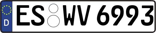 ES-WV6993