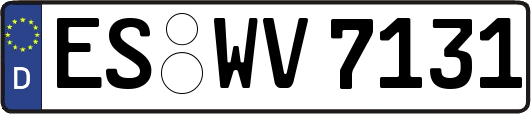 ES-WV7131