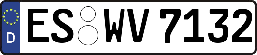 ES-WV7132