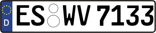 ES-WV7133