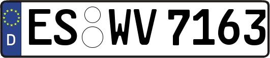 ES-WV7163